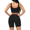 Two Piece Seamless Sports Suit Activewear Set  for women